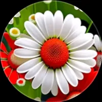 original sound - rahamat_vai1