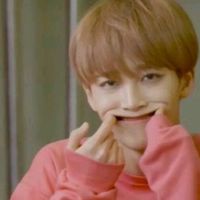 pledis.carat