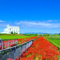 オリジナル楽曲 - 🎸🎺しんCHAN🎶🎵音源垢