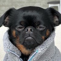 เสียงต้นฉบับ - หนังตามใจแอด 😂♥️🤫