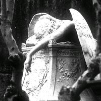 original sound - Evangeline ♝