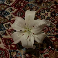 original sound - b.8iil