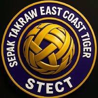 stect_2025
