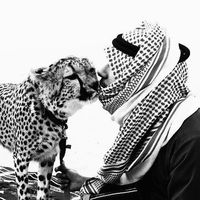 الصوت الأصلي