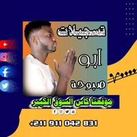 الصوت الأصلي