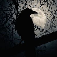 يارب اغفر لي