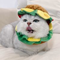 kamucat