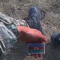 _xtq44