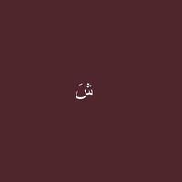 shar_11a