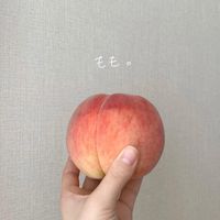 オリジナル楽曲 - ももん仔 ゙