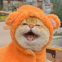 原聲 - 金三柜