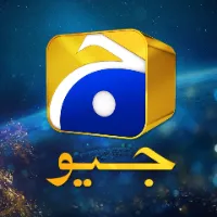 original sound - harpalgeo