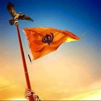 punjab584