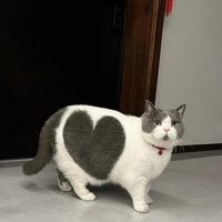 t_aaa_45