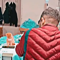 original sound - fms_alexa