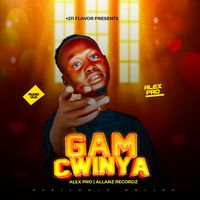 Gidi Gidi by Alex Pro