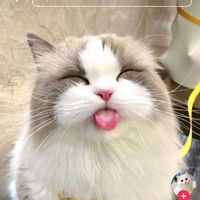 bi__ni__ta42