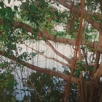 original sound - 🤜💥မောင်ကျော်ကြီး💨💨