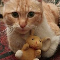 оригинальный звук