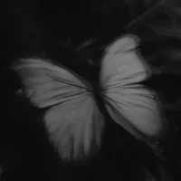 original sound - lina.505_