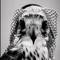 حاكم دهم