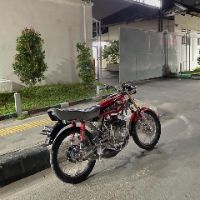 madrenalexander10_