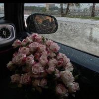 iafi2_