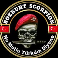 orijinal ses