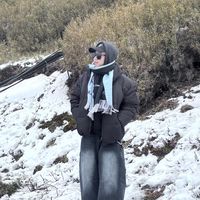 常春藤的走起來