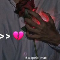user268449737358657