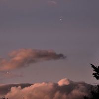 オリジナル楽曲 - ・