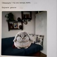 vagonleet