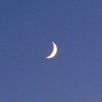 r.crescentmoon