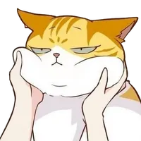 original sound - pandorashots