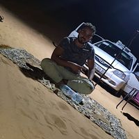 الصوت الأصلي