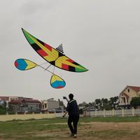 âm thanh gốc - Fb : Nguyễn Văn Đăng