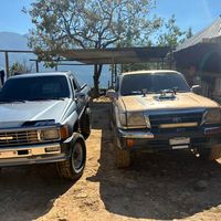 ogler123