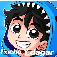 .nachoydagar