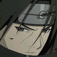 user073441005