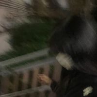 오리지널 사운드 - Jh