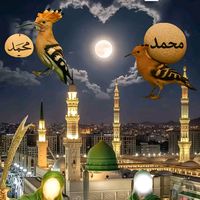 jiddah9373