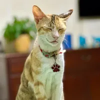 Thank God I Found You BuDaKhelxKat