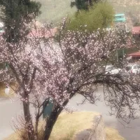 original sound - tshering_2001