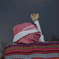 suara asli - Ali ajah