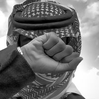 الصوت الأصلي