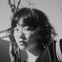 オリジナル楽曲 - 蔦 (ツタ)