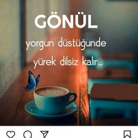 orijinal ses