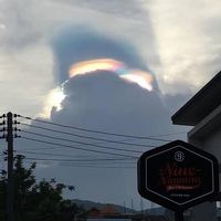 sky__661