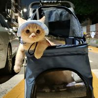 오늘 밤