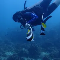 บั้งไฟโจอี้